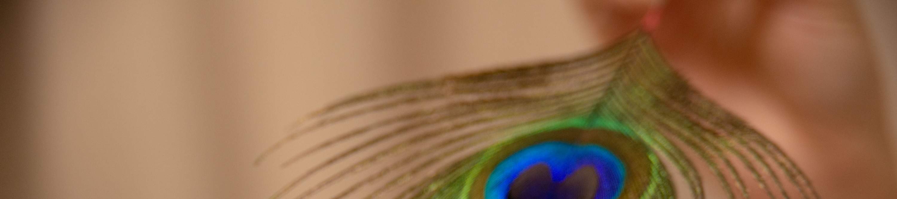 耳詩採耳工作室，採耳，耳詩， 觀塘